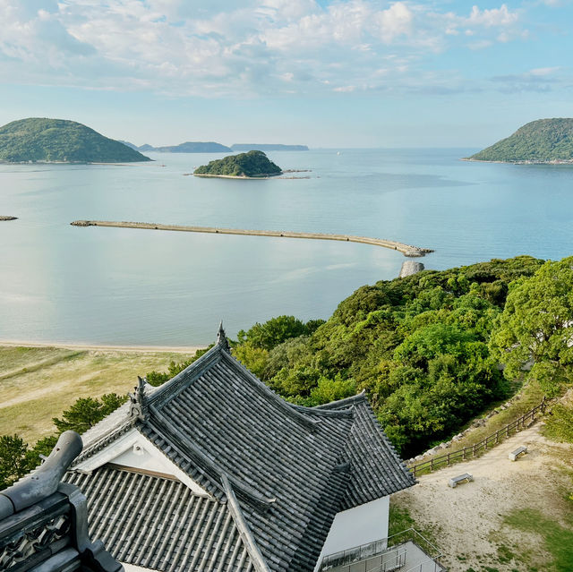 被海洋環抱的絕美名城 #佐賀唐津城 ⛰️🌊