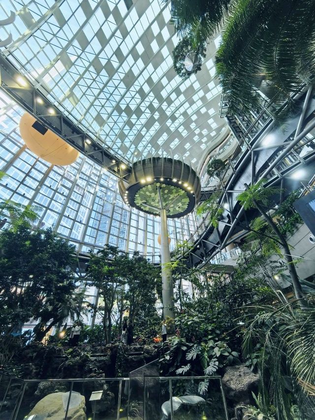 The Ring Mall, the most eco friendly mall.in Chongqing