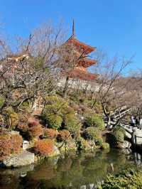 A Walk Through Time: Discovering Kiyomizudera’s Timeless Beauty