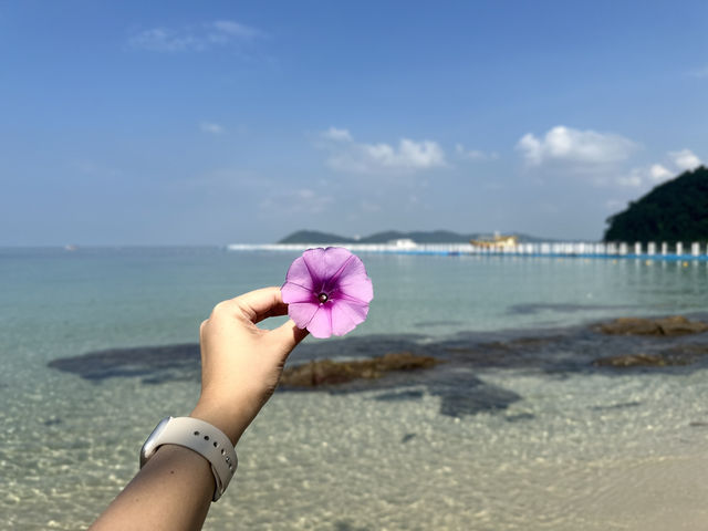 อ่าวพร้าว ทะเลสวยน้ำใส หาดลับบนเกาะเสม็ด 🌊✨