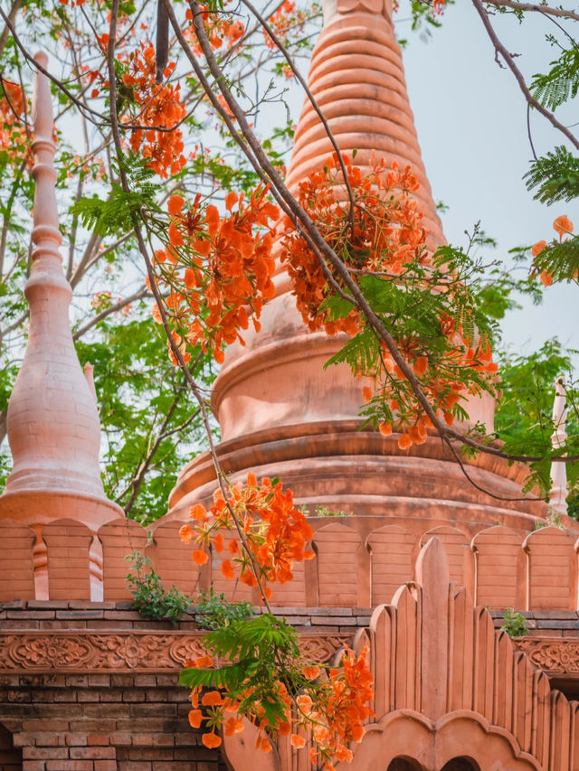 Manting Park: A Tranquil Oasis in Xishuangbanna