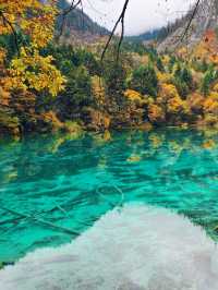 Jiuzhaigou in autumn 🍁