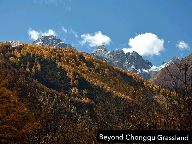 Best Autumn Viewing Experience 3/3 [Beyond Chonggu Grassland, Yading Nature Reserve]