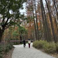 Wandering around Gongqing Forest Park