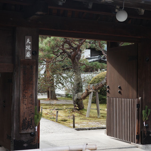 京都一日路線：尋找寧靜的寺廟與山野之旅