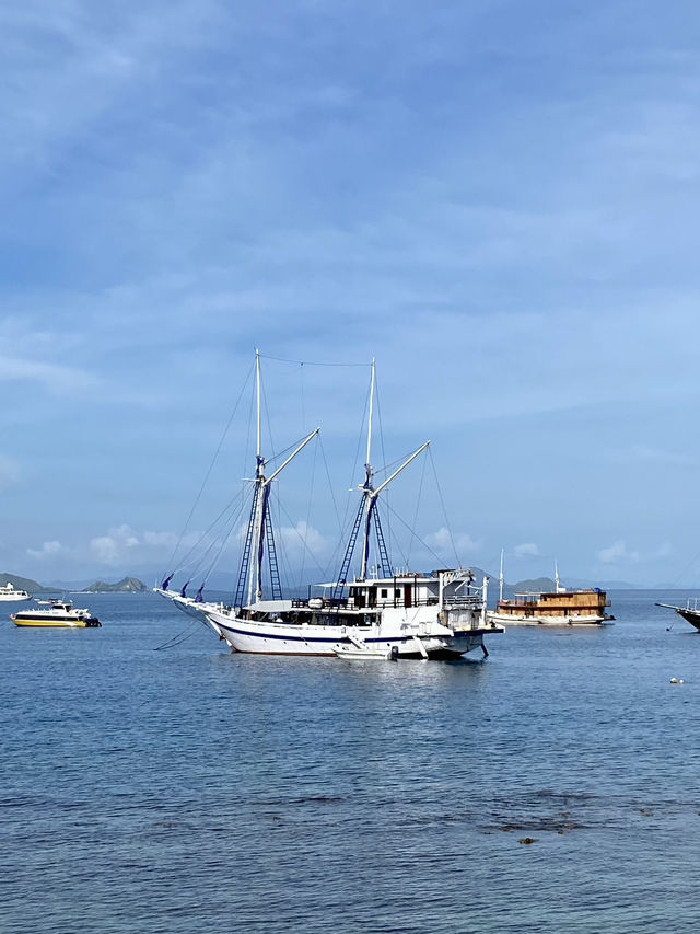 Labuan Bajo City Tour: Gateway to Adventure