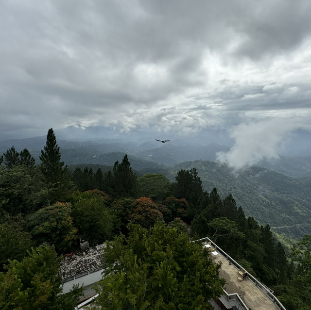 The Beauty of Sri Lanka’s Hill Country