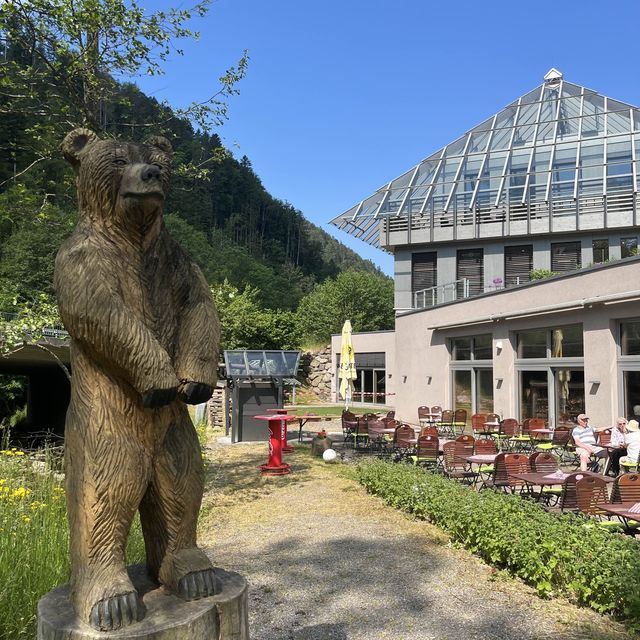 Hotel Hofgut Sternen-relax and hiking spot 🇩🇪