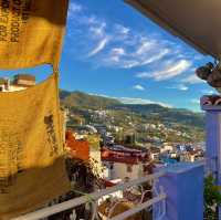 Chefchaouen : A Dream for Cat Lovers