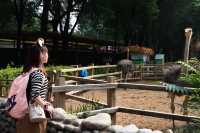 大興動物園最佳遊玩路線。