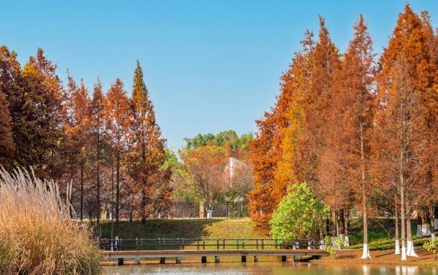 長沙·長沙園林生態園：城市綠洲