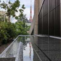 TeamLab Borderless Planets - A Tokyo Must Visit!