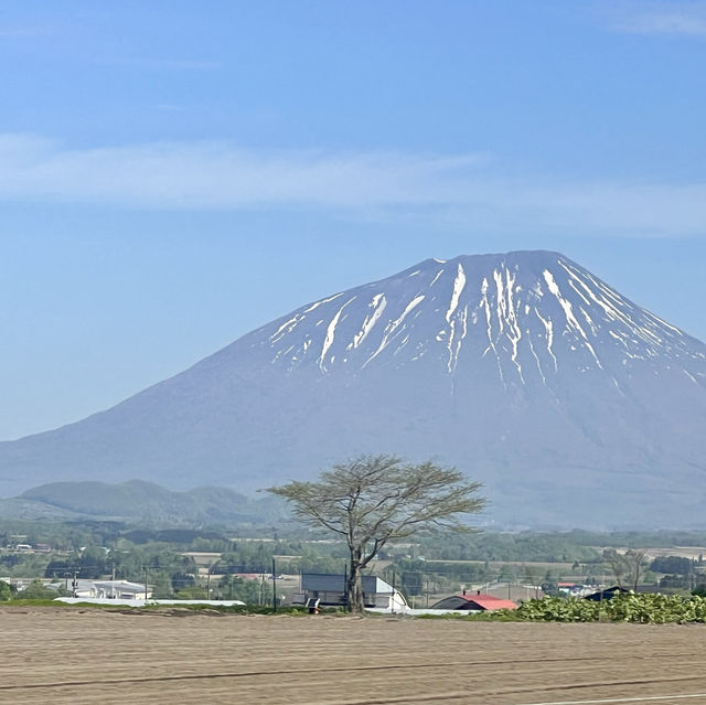 Rediscovering Japan : A Serene Escape to Hokkaido