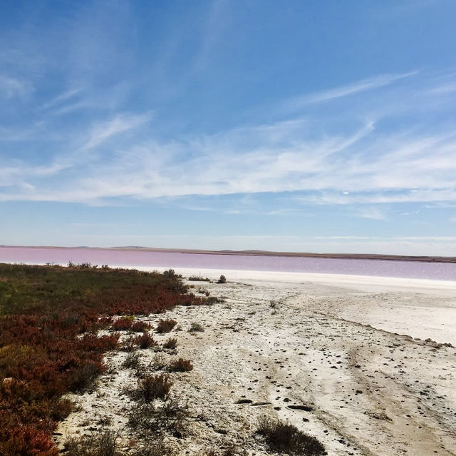 "Lake Hillier: Australia’s Stunning Pink Lake"