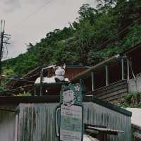 Houtong Cat Village - Taiwan