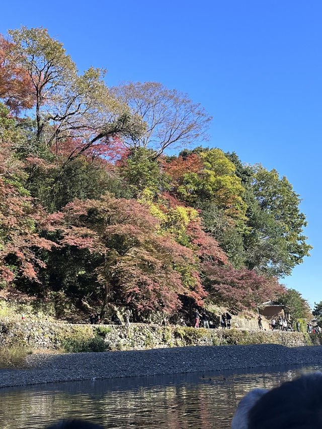 🇯🇵 京都嵐山 賞楓1日自由行🍁無需自駕遊❣️