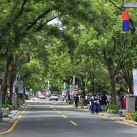 Immerse Yourself in Tradition at Jeonju Hanok Village