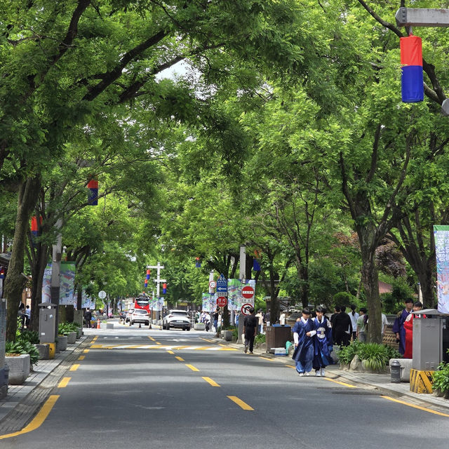 Immerse Yourself in Tradition at Jeonju Hanok Village