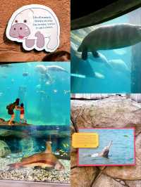 Freshwater Aquarium in River Wonders Singapore