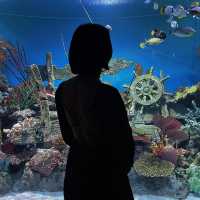 Marine Marvels Await at Sea Life Ocean World, Siam Icon!