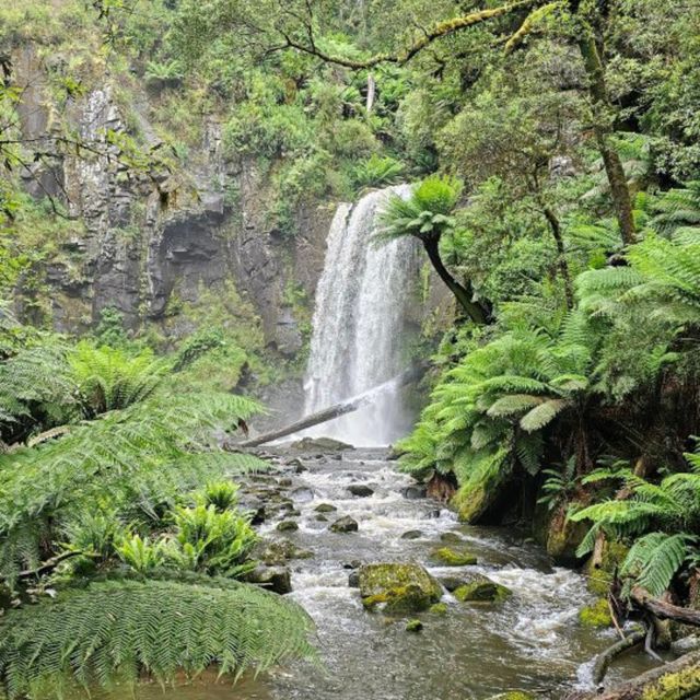 Great Otway National Park, Victoria