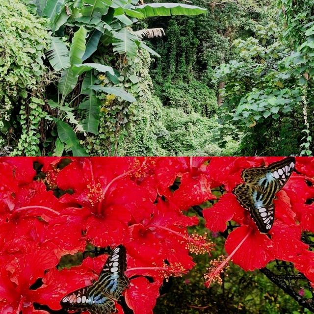 Penang Botanic Gardens