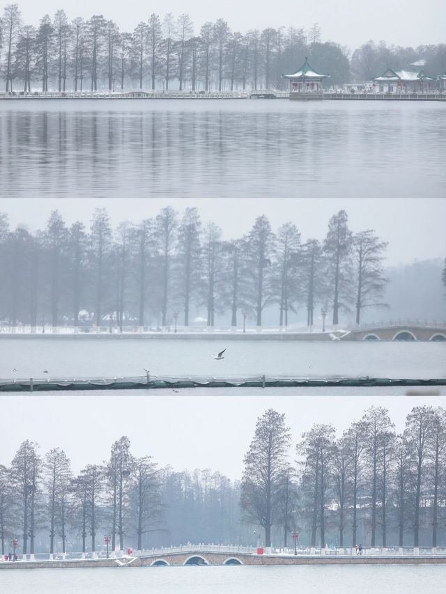 看看下雪天的東湖 /碧潭觀雪