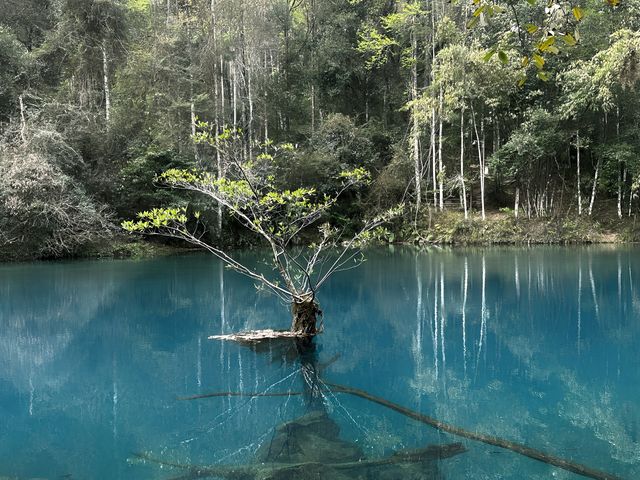 荔波小七孔 地球綠寶石