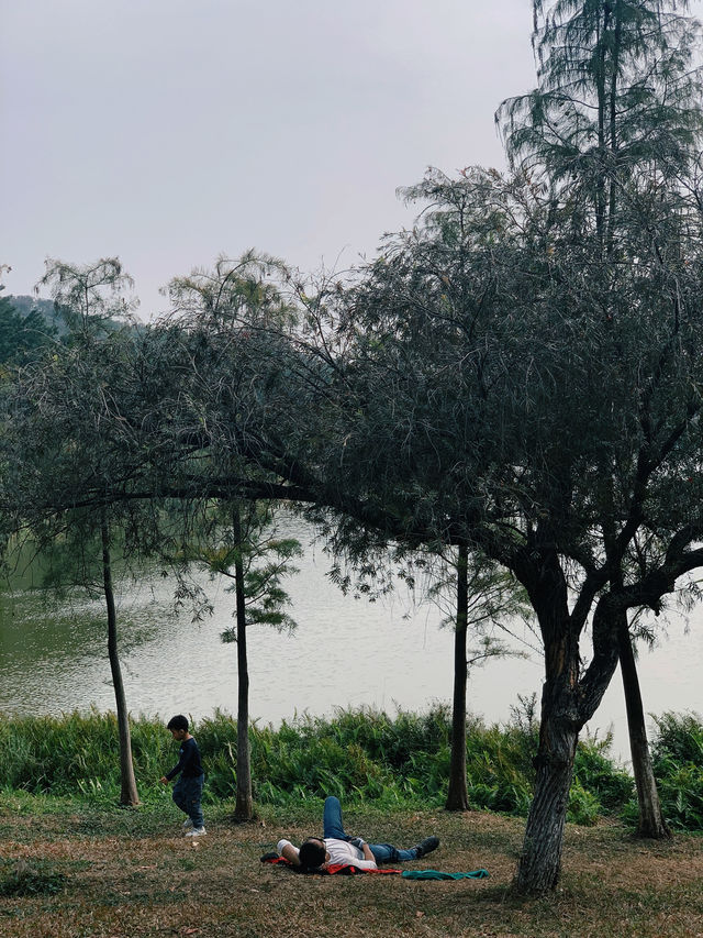 大夫山森林公園