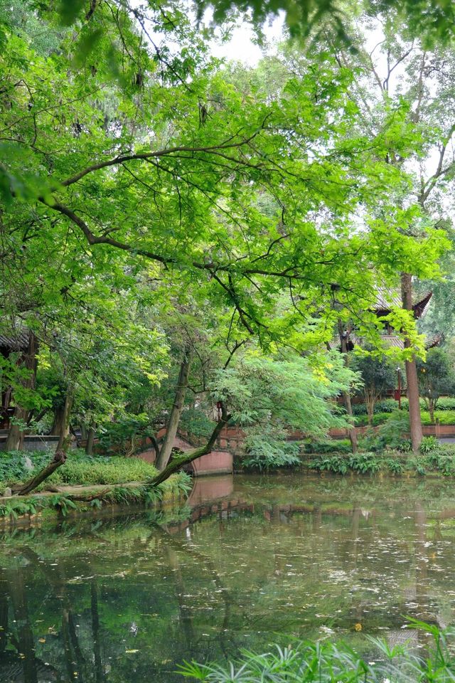 紅樓夢中園，千年罨畫池，這個中式園林超出片