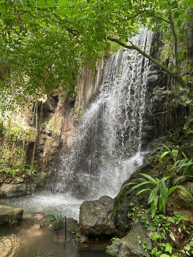 廣州華南植物園｜擁抱鬧市中的大自然。