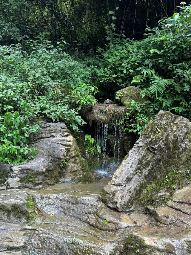 重慶2日遊 熱門景點一網打盡。