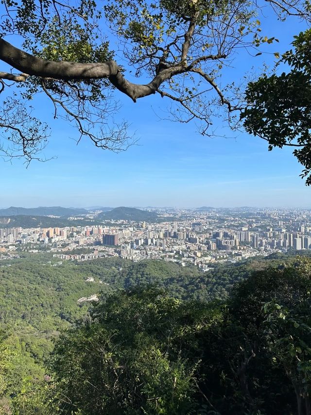 保姆級教程 | 白雲山山頂洞機位怎麼去？懶人看過來