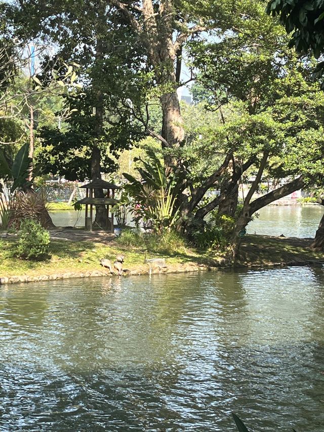 廣州越秀公園  值得你去的地方