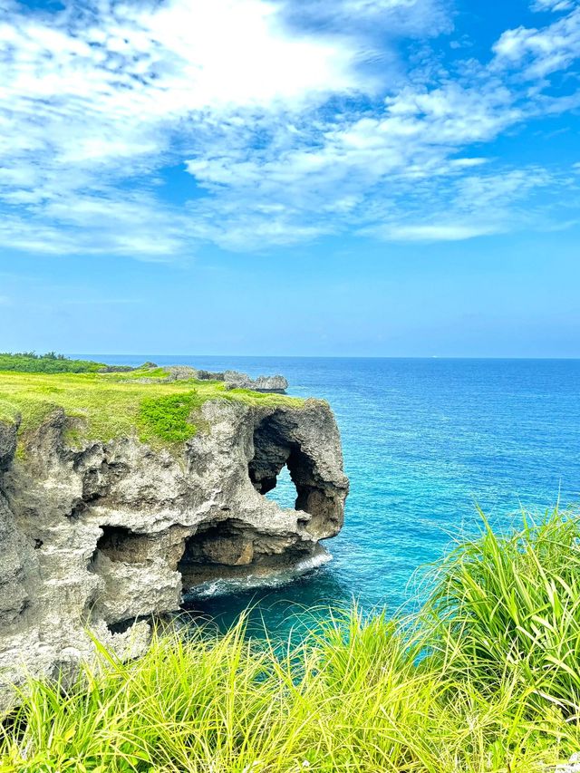 日本5日遊親子攻略玩轉經典景點