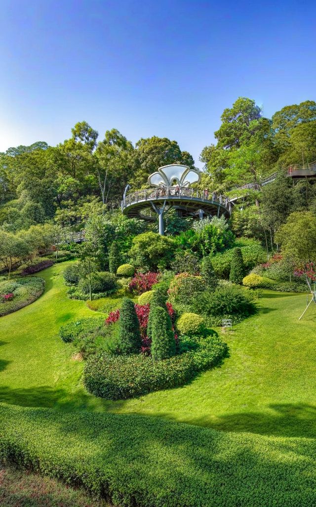 雲蘿植物園，廣州拍照打卡的頂流！