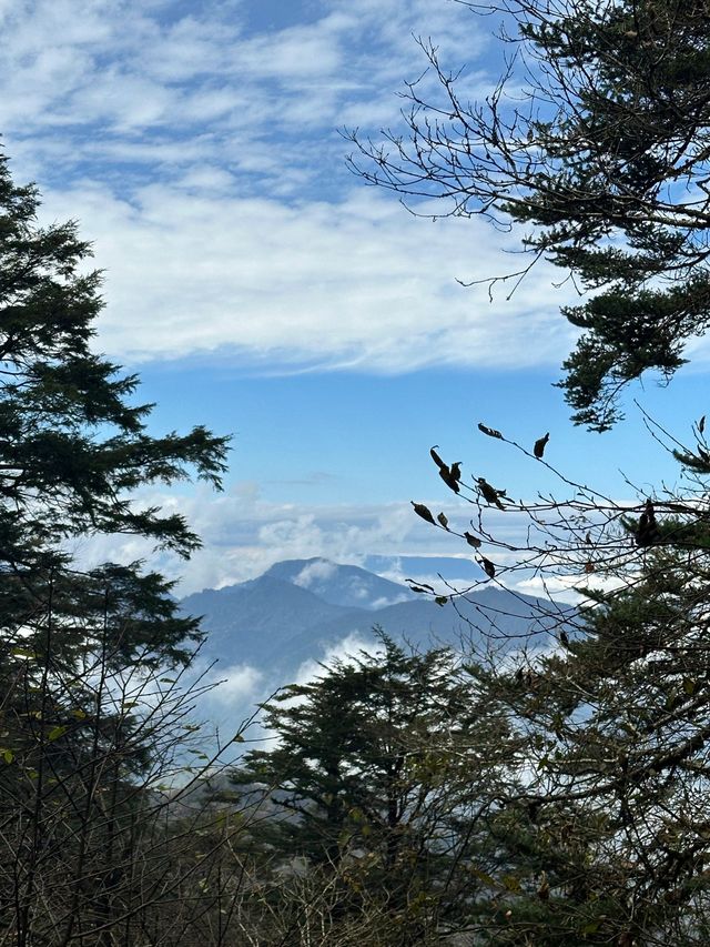 峨眉山2日遊 超詳細攻略不踩雷