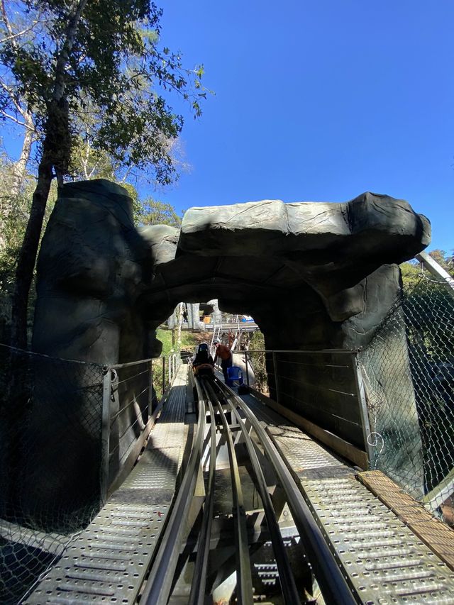 Datanla New Alpine Coaster - fast furious 