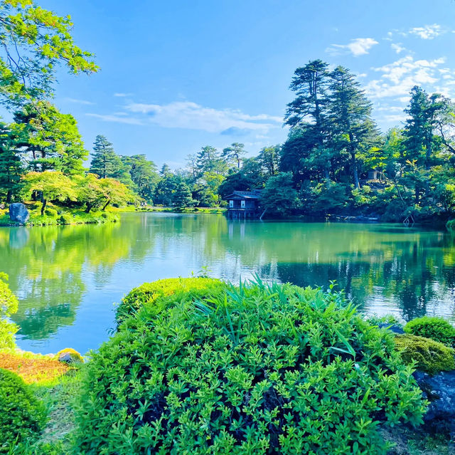 【金沢】冬だけじゃない！夏も美しい兼六園✨️