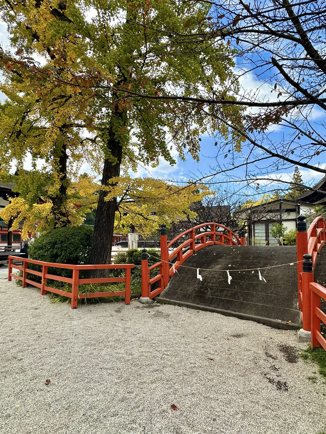 〜京都府〜女性のための世界遺産パワスポ　下鴨神社🌸