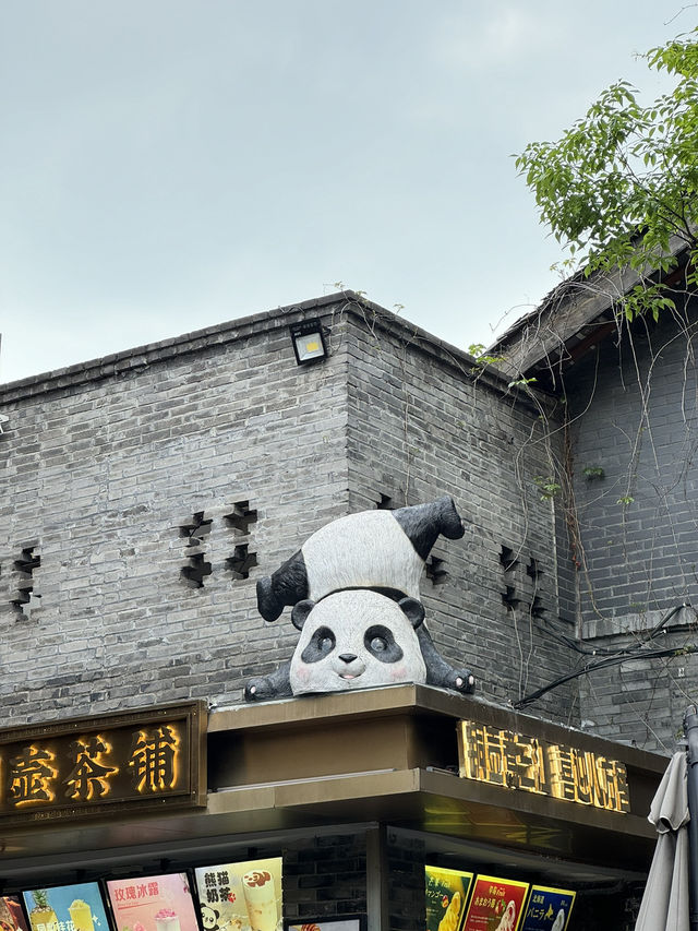 KuanZhai Alley✨Chengdu 