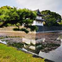 Royal History and Timeless Beauty: My Visit to Tokyo Imperial Palace!