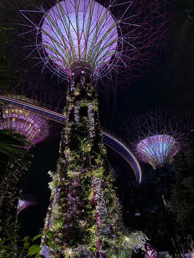 Gardens by the Bay: A Spectacular Urban Oasis