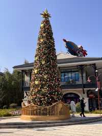 Shanghai Disneyland Christmas 