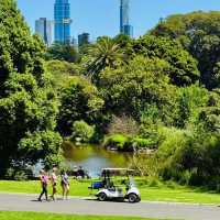 A Summer Escape: Melbourne’s Royal Botanic Gardens