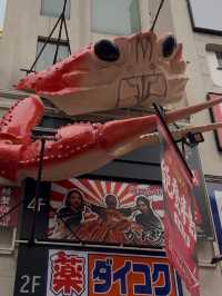 Exploring Dotonbori: A Food Lover's Paradise and Osaka Wonder Cruise Adventure