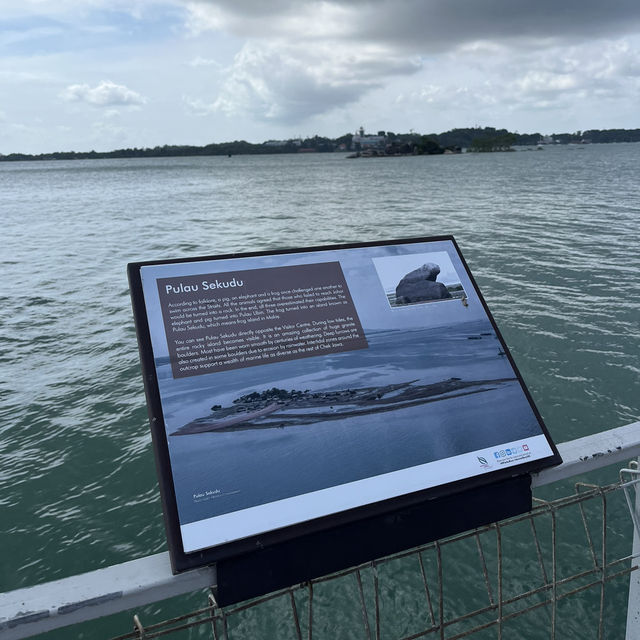 Wholesome fun at Pulau Ubin 