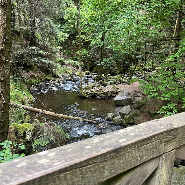 Hotel Hofgut Sternen-relax and hiking spot 🇩🇪