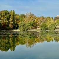 Morning Magic in Tineretului Park