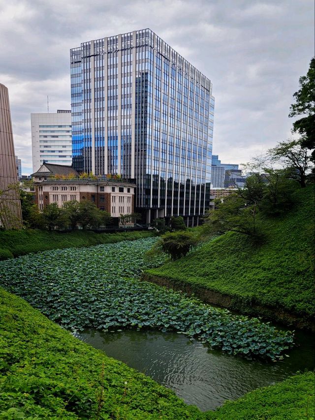 Imperial Palace - Tokyo